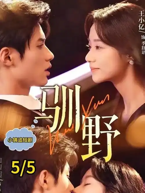 夏日限定